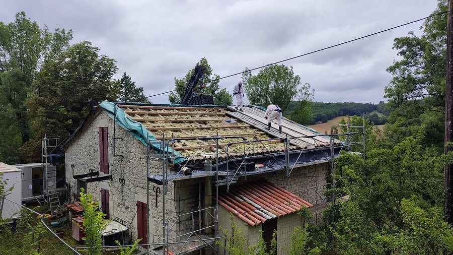 Carvalho Mario - desmiantage